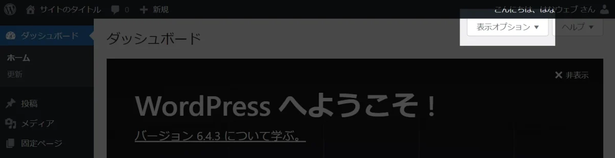 表示オプション