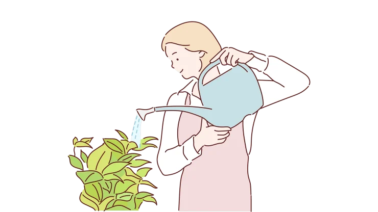Web仕上げプランのイメージ：ジョウロで植物に水を与え育てるイラスト