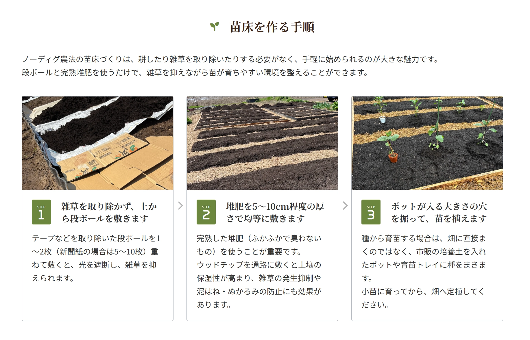 苗床を作る手順・日本ノーディグ協会様ホームページより